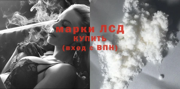 гидра Володарск