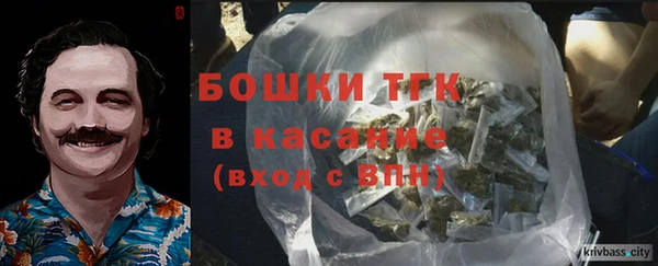 гидра Володарск