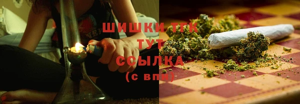 гидра Володарск