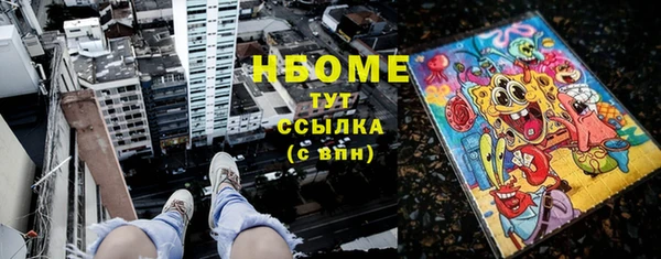 гидра Володарск