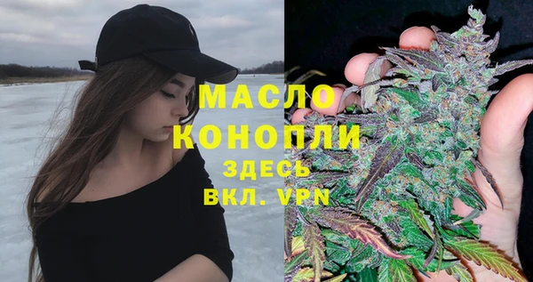 гидра Володарск