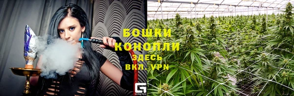 гидра Володарск