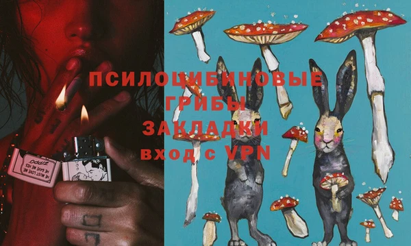 гидра Володарск