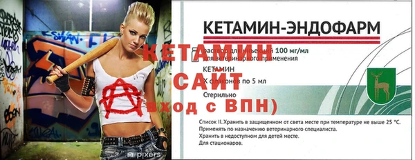 гидра Володарск