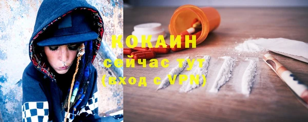 молекула духа Волосово