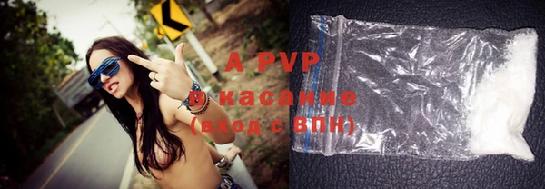 гидра Володарск