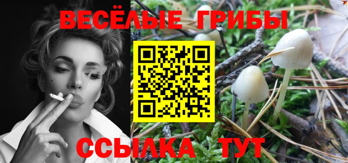Галлюциногенные грибы мицелий  Вход с VPN  Мончегорск 