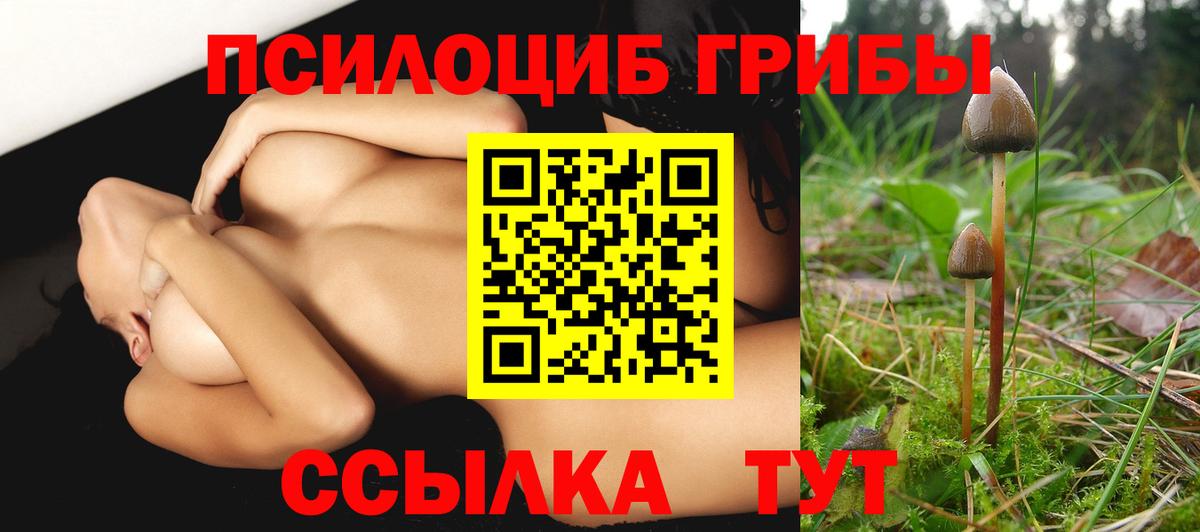Галлюциногенные грибы GOLDEN TEACHER Мончегорск